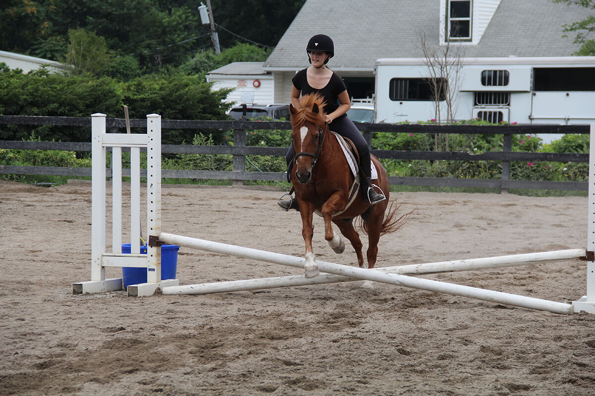 equestrian
